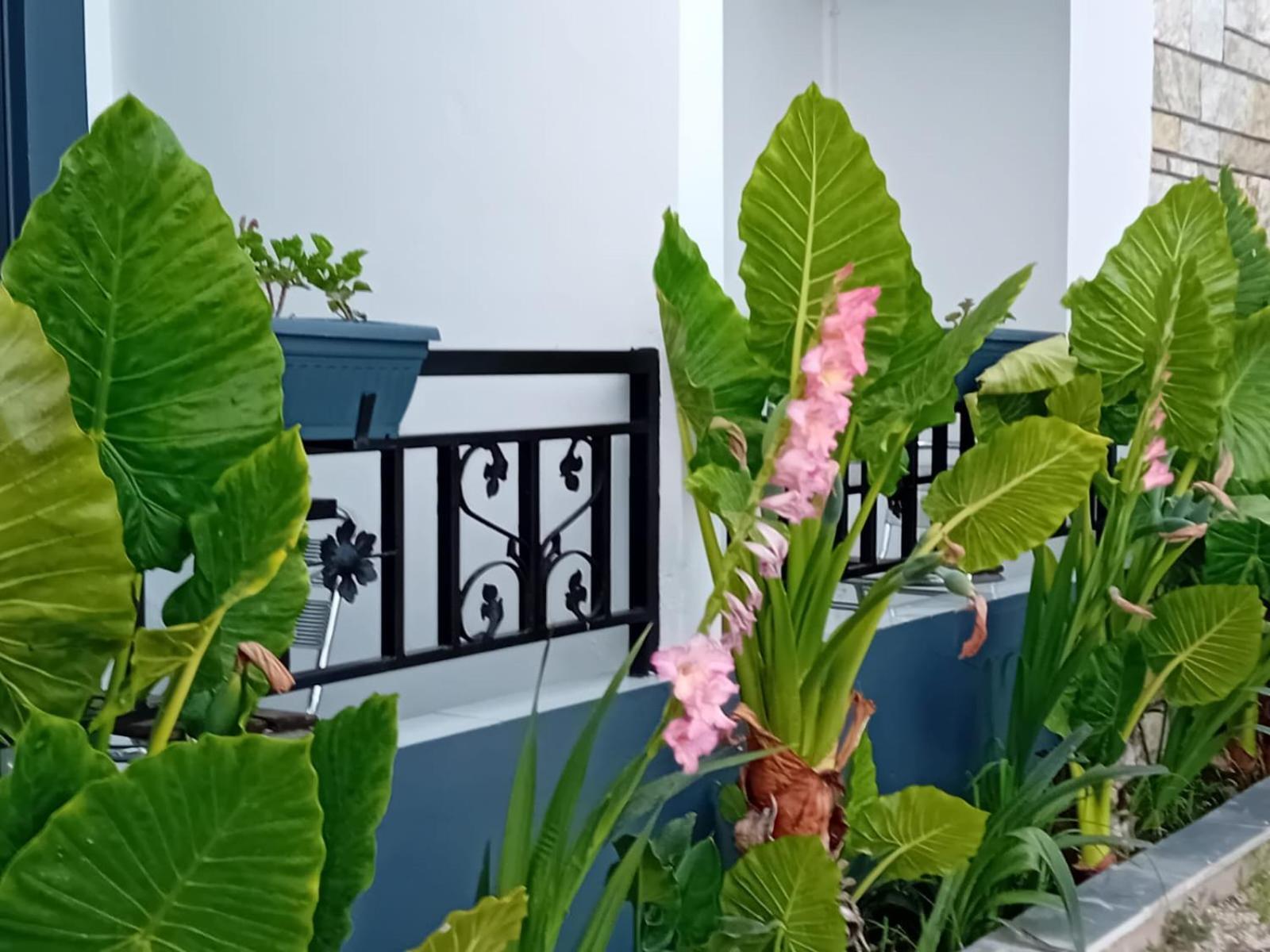 Villa Allkushi Sarande Exterior photo